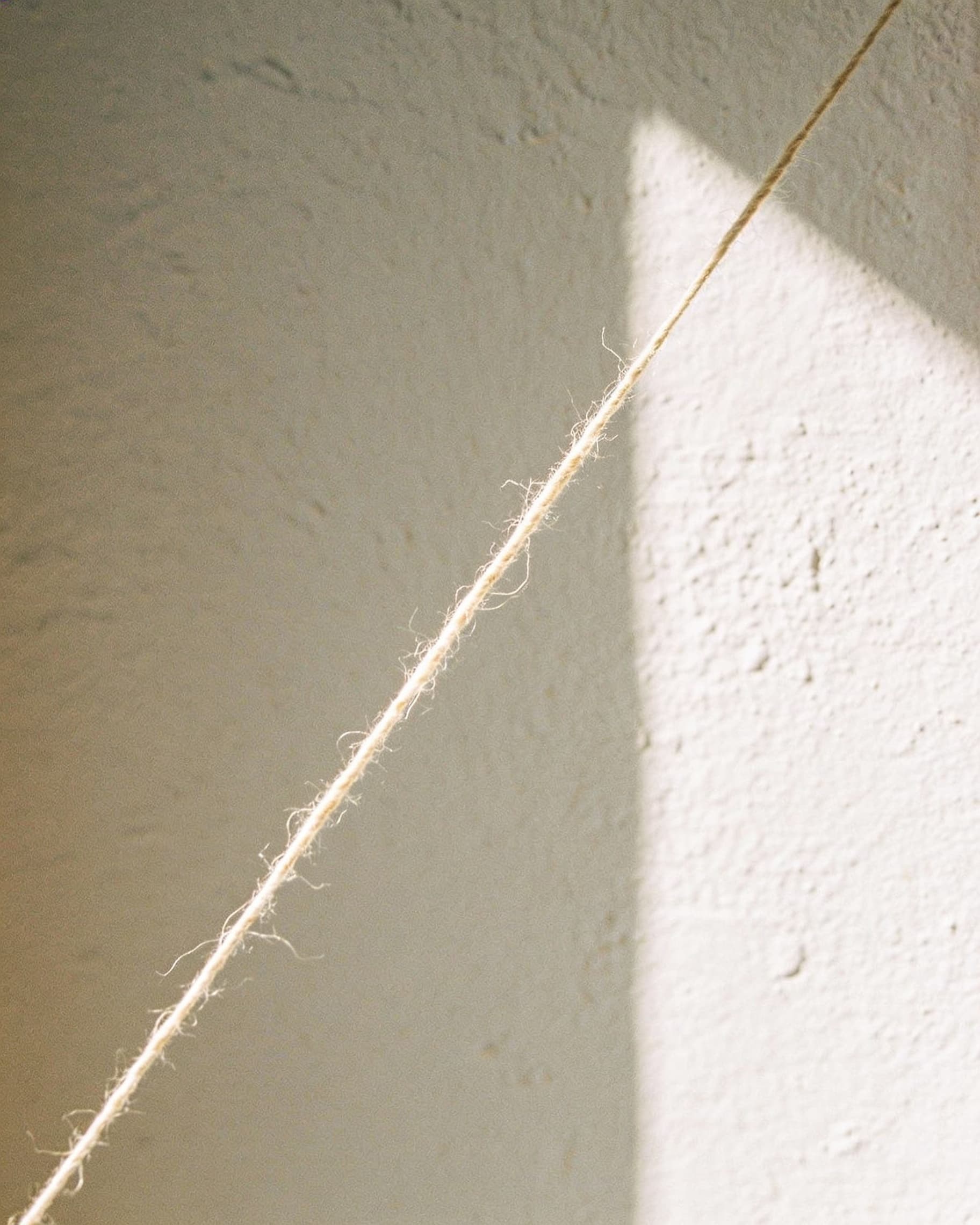Still-life study in morning daylight representing Threads